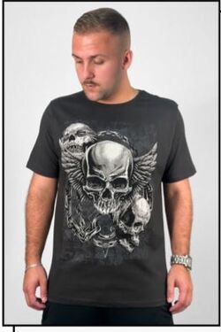 Camiseta Masculina Slim Drake - 46387