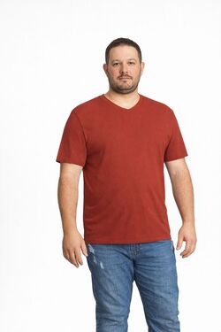 Camiseta Masculina Plus Size Básica Diâmetro Aroeira – Algodão